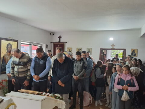 IMG-550452ddb0b3c8adf1f0159462f7fae8-V_resize