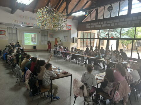 IMG-59195f923476a12087f67832d90b1c4f-V_resize