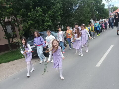 IMG-5e714560065cdc1fefcbb2311aa609d5-V_resize