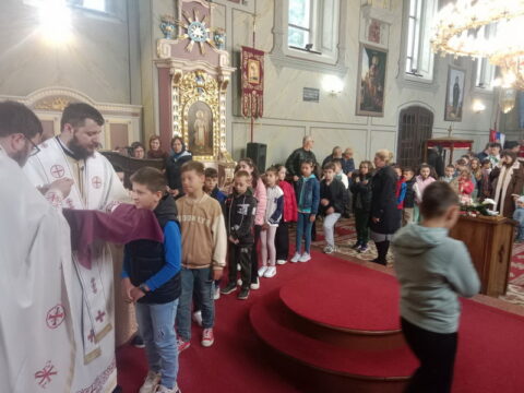 IMG-5f82a001b7710f3a769aa1638fec7f82-V_resize