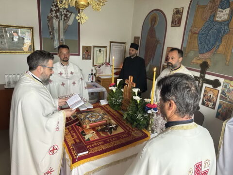 IMG-797cf905e11276144350293e04452dc8-V_resize