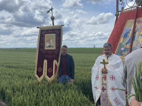 IMG-b8710a41993fb9ba4d4830d3e3f132f7-V_resize