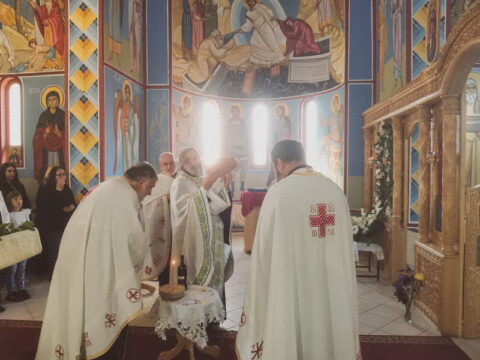 IMG-e622afe642d113c0c8dd40b4c2598429-V_resize