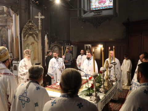 IMG_0083_resize