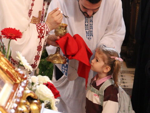 IMG_0164_resize