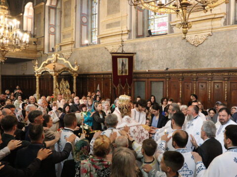 IMG_0206_resize