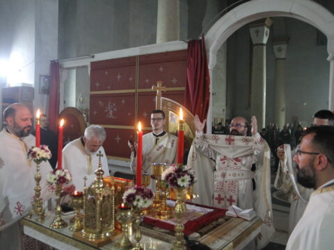 IMG_0224_resize