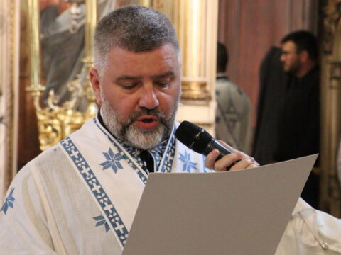 IMG_0231_resize