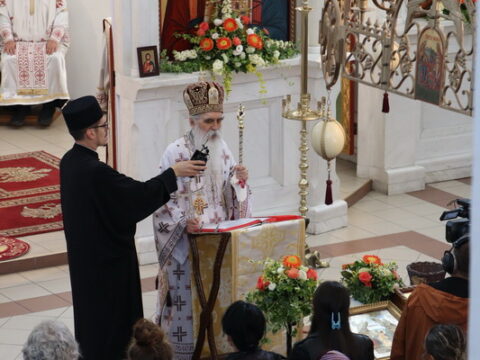 IMG_0470_resize