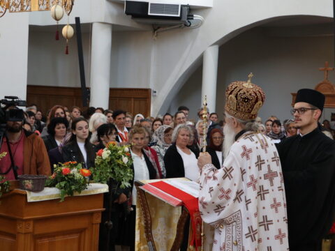 IMG_0482_resize