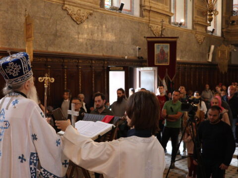 IMG_0791_resize
