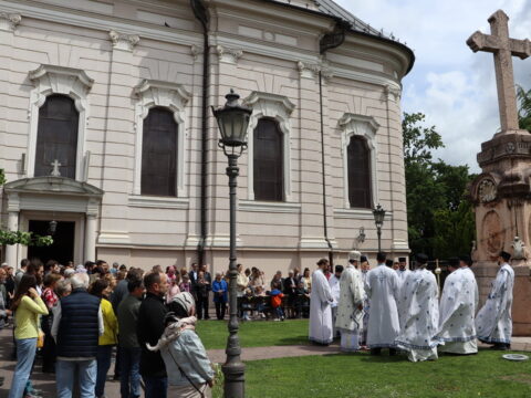 IMG_0841_resize