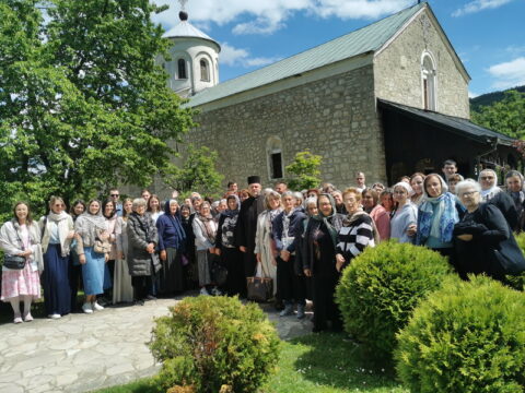 IMG_20250517_141340_resize