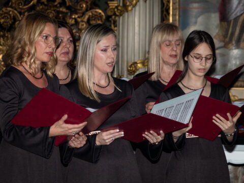 IMG_2942_resize