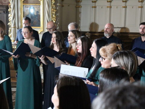 IMG_4501_resize_resize