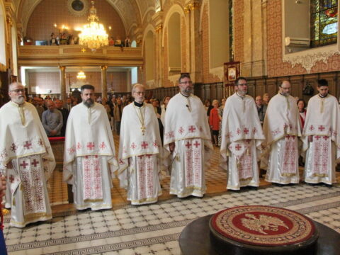 IMG_4560_resize_resize