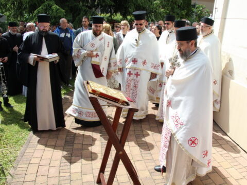 IMG_4648_resize_resize