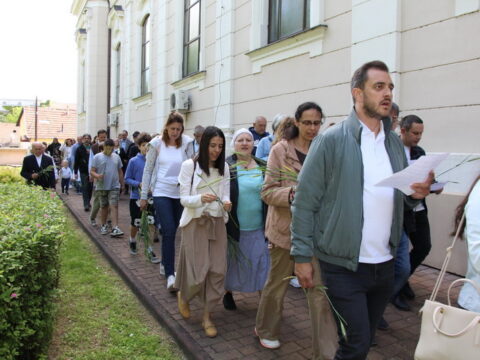 IMG_4670_resize_resize