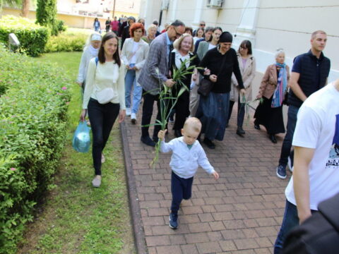 IMG_4673_resize_resize