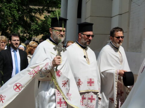 IMG_4703_resize_resize