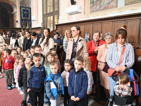 IMG_4713_resize