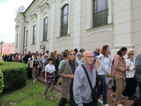 IMG_4732_resize_resize