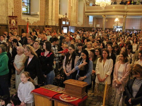 IMG_4785_resize_resize