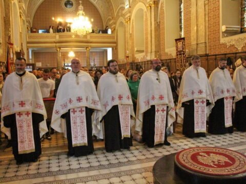 IMG_4807_resize_resize