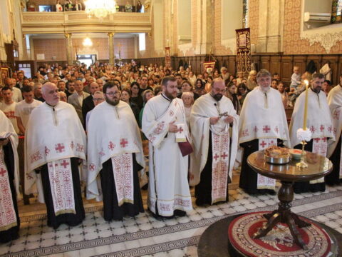 IMG_4840_resize_resize