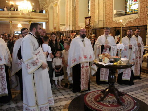 IMG_4862_resize_resize