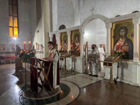 IMG_7135_resize