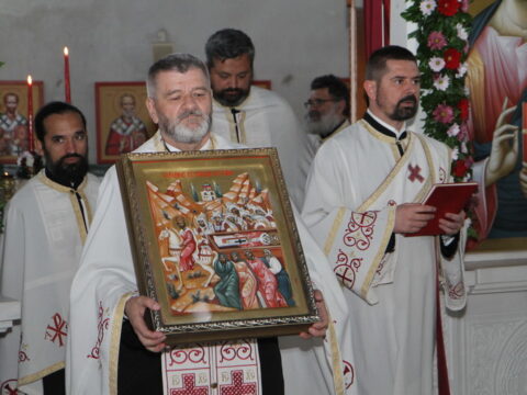 IMG_9650_resize