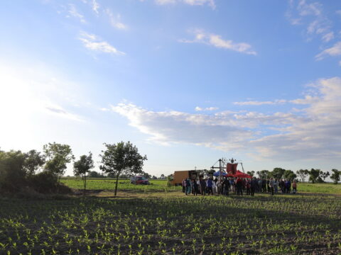 MIRO0654_resize