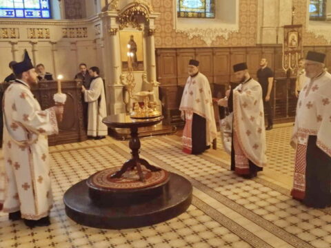 ba4e1e1a-fa9e-4745-8c86-072b3a2c7f17_resize