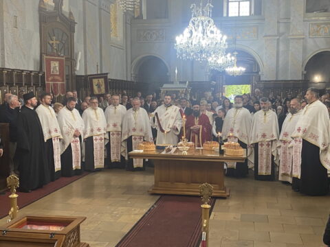 image00008_resize