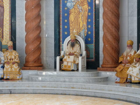 img-1584346_resize