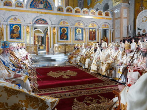 img-1685653_resize