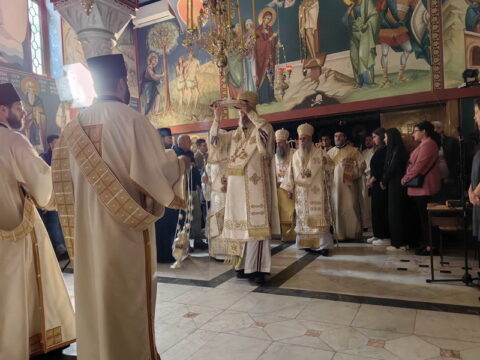 img-1729514_resize