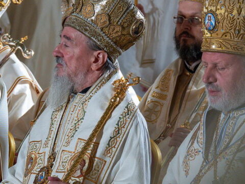 img-2536974_resize