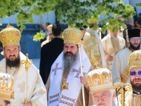 img-3035099_resize