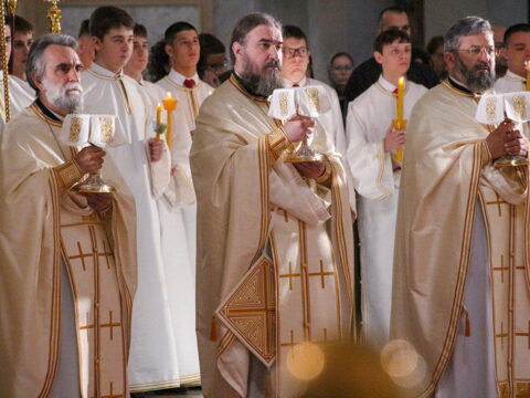 img-3171179_resize