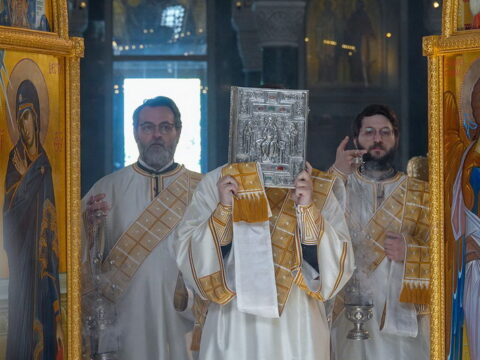 img-4572715_resize