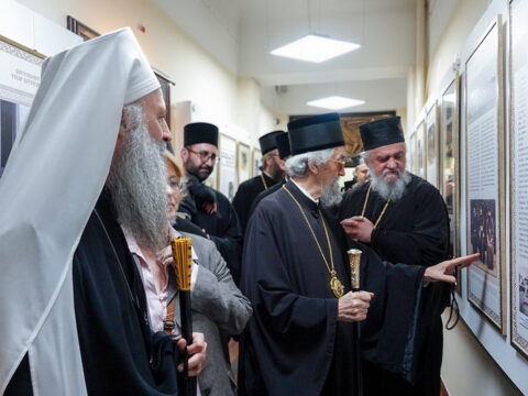 img-5372113_resize