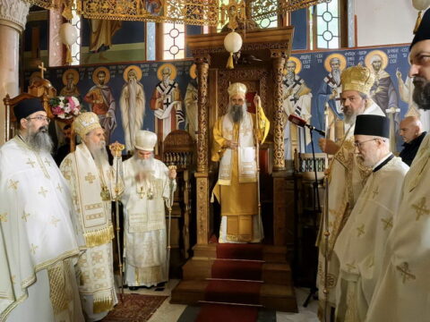 img-5392220_resize