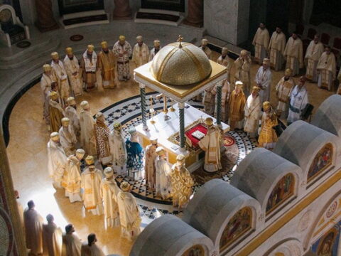 img-5625923_resize