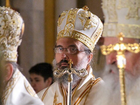 img-6533366_resize
