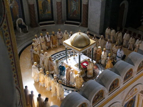 img-7311097_resize