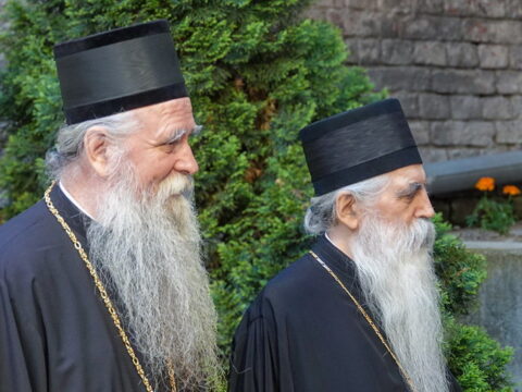 img-7980519_resize
