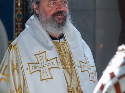 img-8266581_resize