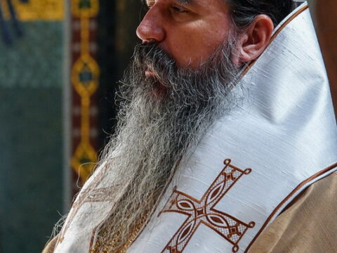 img-8433897_resize